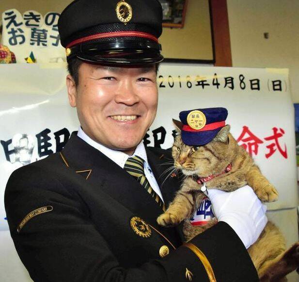 市长亲自颁发任命书，从此又多了一位猫咪站长