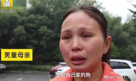 芜湖6岁男童被狗咬身亡获赔78万，母亲泣不成声：管好自家的狗