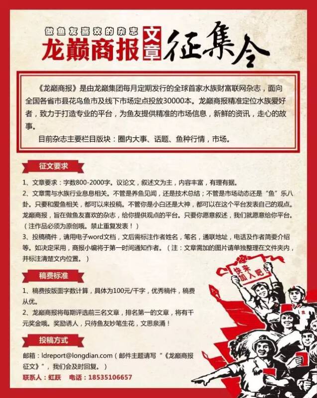 《龙巅商报》文章征集令