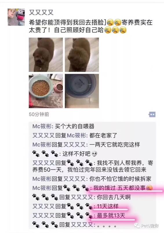 狗子，听我一句劝，下辈子换个主人吧！