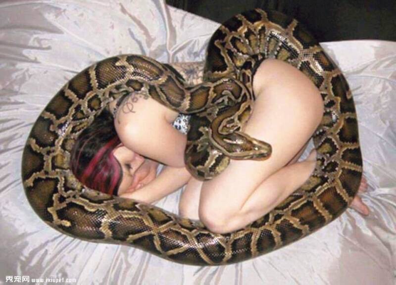 女子和蟒蛇睡在一起26年，却要被蟒蛇吃掉，依然不离不弃
