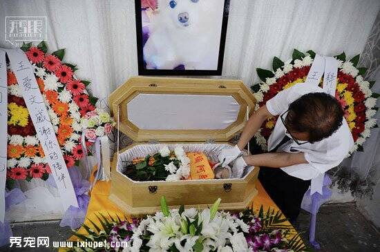记录上海宠物狗的奢华葬礼现场 奥迪A8L做灵车僧人为其超度
