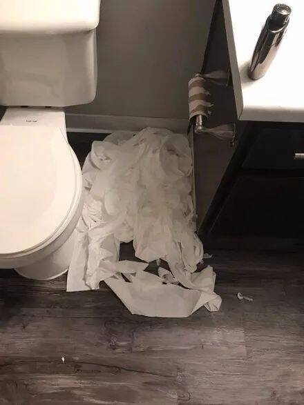 主人走进厕所发现纸巾被扯了一地，他怀疑家里的小狗，没想到.....