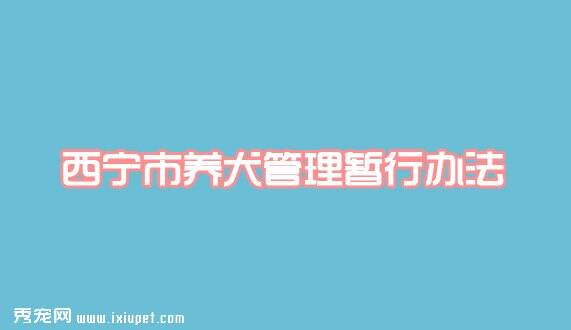 西宁市养犬管理暂行办法|2007年3月1日起施行