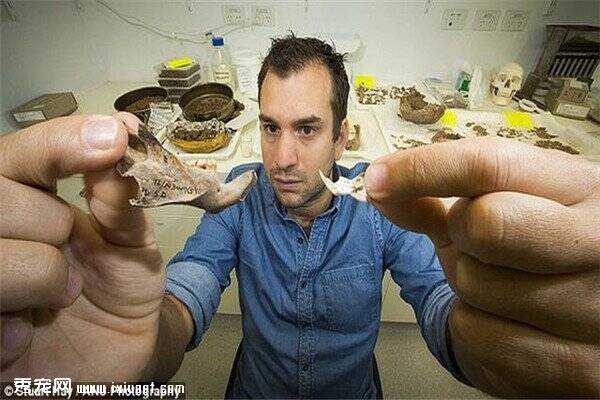 科学家发现千年前巨型啮齿动物骨骼，快来看看吧！