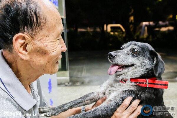 阿公中秋节前夕找回了十岁高龄爱犬