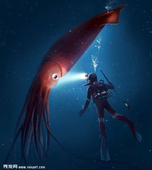 海洋深处的生物，你最怕哪一种生物？