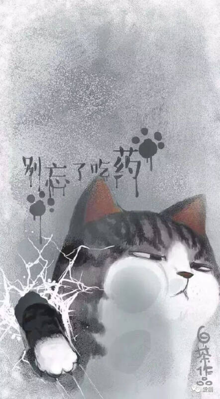 自从养了猫就像得了魔怔，这9大通病一定不只我有！