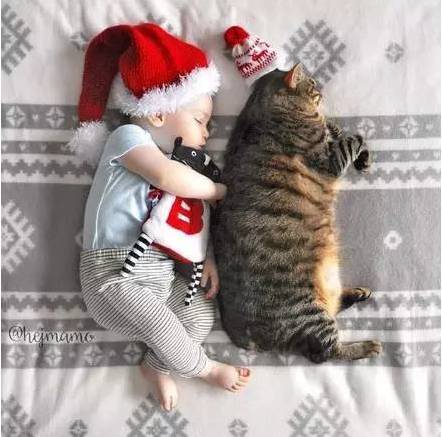 网友家的儿子和猫咪的日常...萌翻了！