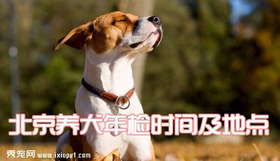 北京养犬年检时间及地点_多少钱