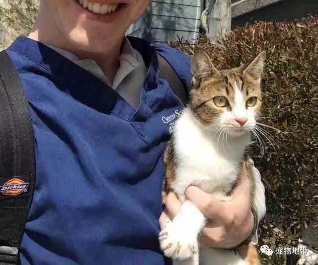 狗狗对主人收养的猫咪超冷漠，直到4只小猫咪出生后，它的态度......