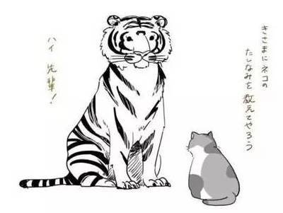 老虎拜猫为师，最后竟然...
