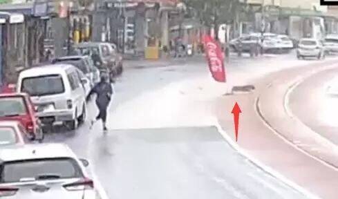 主人将狗狗拴在超市外等待，但10秒后……我狗呢？