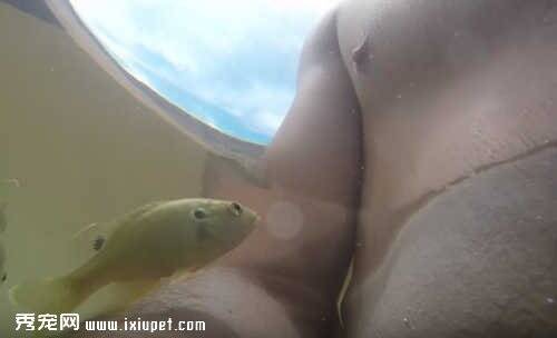 鱼疗时小鱼跳出水面猛吸男子乳头