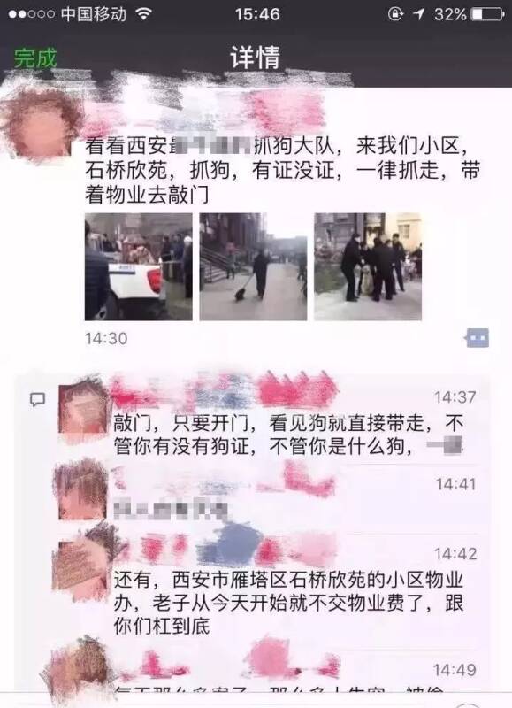 这么大的西安竟容不下一只狗？