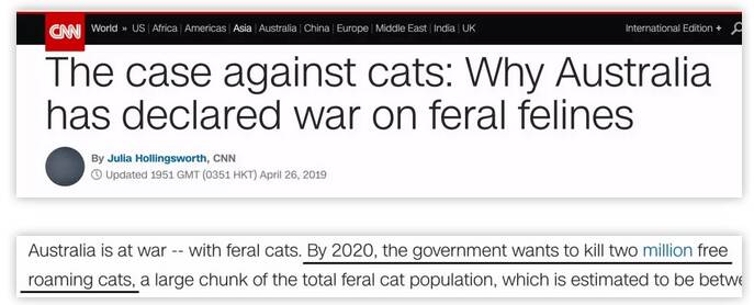 为控制动物数量，澳大利亚政府计划杀死两百万只野猫！