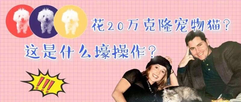 花20万克隆自己的宠物猫，克隆技术能克隆相同的爱吗？