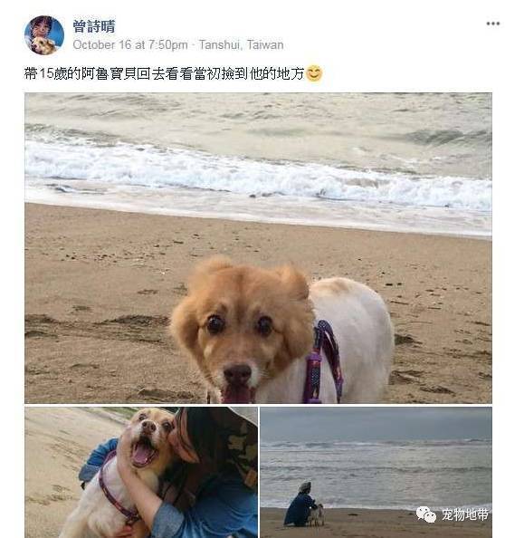 她带着狗狗回到15年前相遇的海滩，让只剩下不到2个月的狗狗记住"妈妈爱你"！