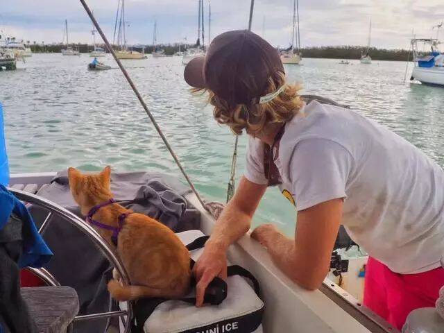 飓风中幸存的猫咪被旅行家收养，当船长吃海鲜环游七大洲