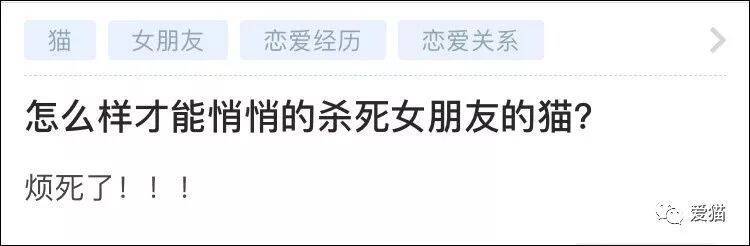 “如何悄悄的杀死女朋友的猫？”这样想法的人真可怕！