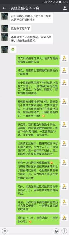 猫咪不会用猫砂？这个方法一准管用...