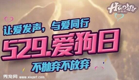 这是一次需要60万狗友并肩，为亿万只狗狗呐喊的行动，你还在等什么？