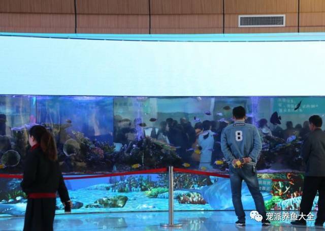 郑州一医院大厅摆巨型鱼缸，非常赞！~