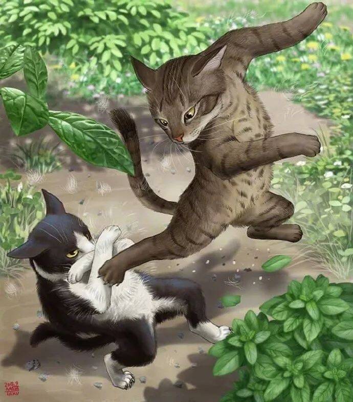一位铲屎官以家里两只猫的日常为主题，创作了一系列漫画。。