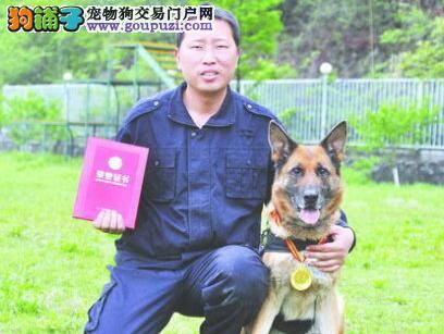 十堰刑侦犬“虎妞”荣获最高荣誉“功勋犬”称号