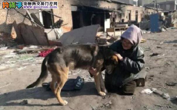 狗狗忠心陪残疾奶奶5年 没想到竟要遭到遗弃