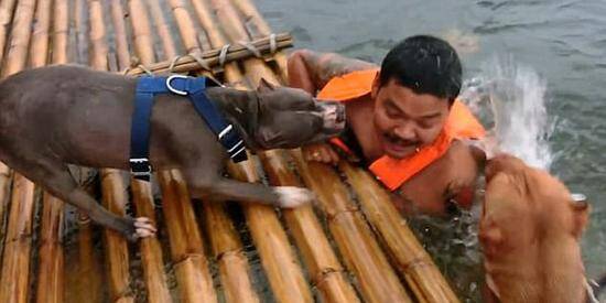 男子假装溺水 引两只狗狗奋力施救