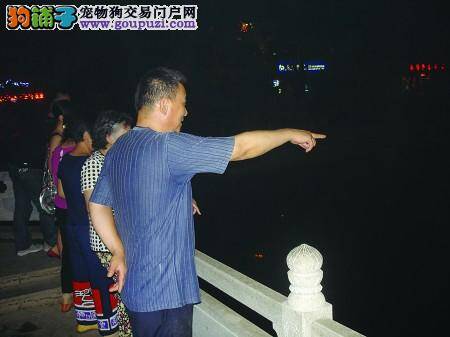 六旬老人跳入水中救流浪狗 众人牵挂老人伤势