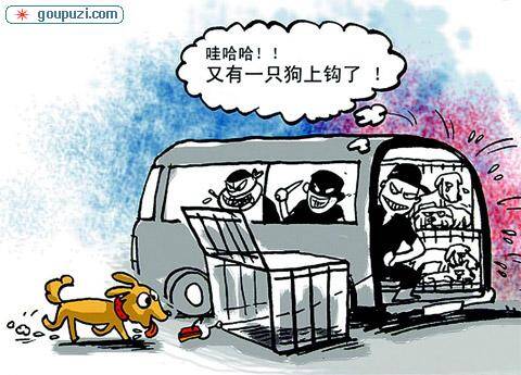 惠城区今年偷狗的人特别猖狂都被偷怕了