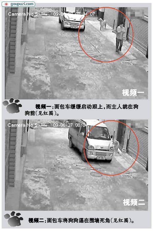 高速公路通行卡丢失急坏车主原是被宠物狗“偷”走