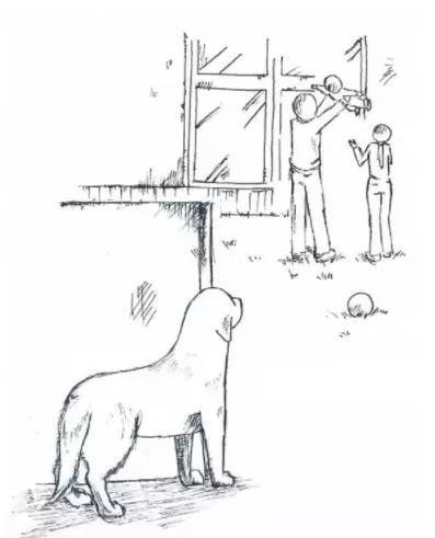日本漫画家手绘画 描绘了狗狗在面对安乐死前的心声
