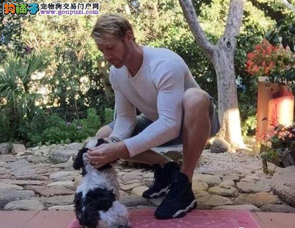 有只狗陪你一起运动健身，那是一件多么幸福的事情