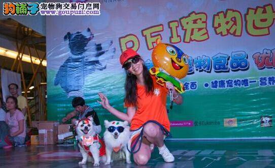 “2014宠物世界杯”主题活动在广州拉开帷幕