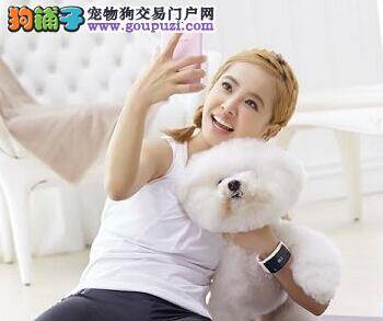 杭州市犬类收容中心:爱狗人士可以免费领养狗狗啦