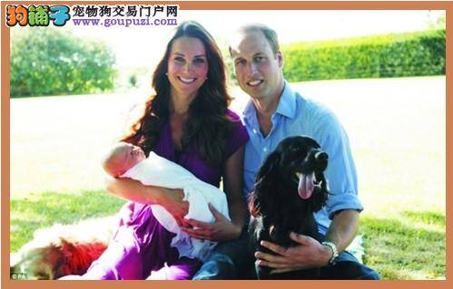 英国首次公布小王子照片 全家福中狗狗也来抢镜