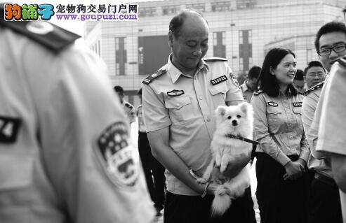 萌犬武警全出动 参与第二届中俄博览会安保工作
