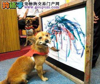 会画画的宠物狗，它卖画赚钱帮助狗狗家族
