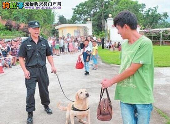 云南缉毒犬基地举办开放日活动迎接国际禁毒日