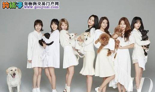 AOA穿白衣拍宠物狗写真，收入捐给动物保护团体