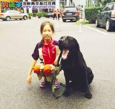 10岁女童成训犬明星 曾登上央视《为你点赞》节目