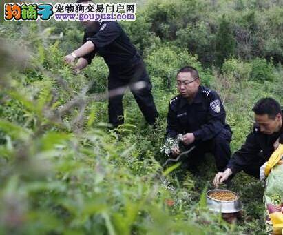 特殊“战友情” 记录山西警察与警犬之间的故事