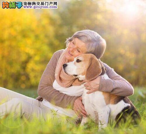 英国科学家经研究表明:饲养狗狗可延缓衰老保青春
