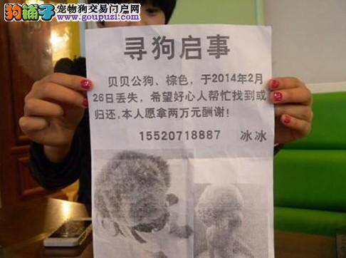 第41期“市民论谈”在扬州举行 市民关注文明养犬