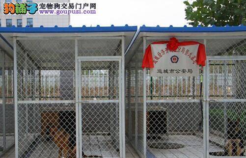 运城经济开发区公安分局成立警犬基地 引进多只警犬