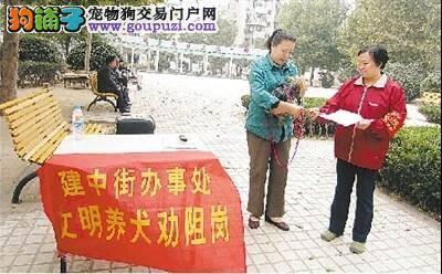 郑州文化路街道办事处开展规范养犬集中整治行动