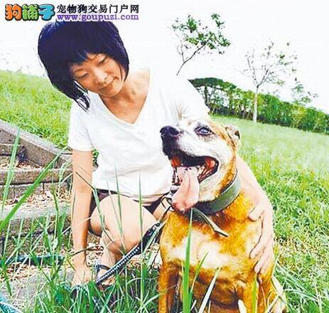 训犬师改行成为女警专业训练流浪狗